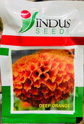 Marigold Deep Orange (Indus Seeds - 100 Seeds)
