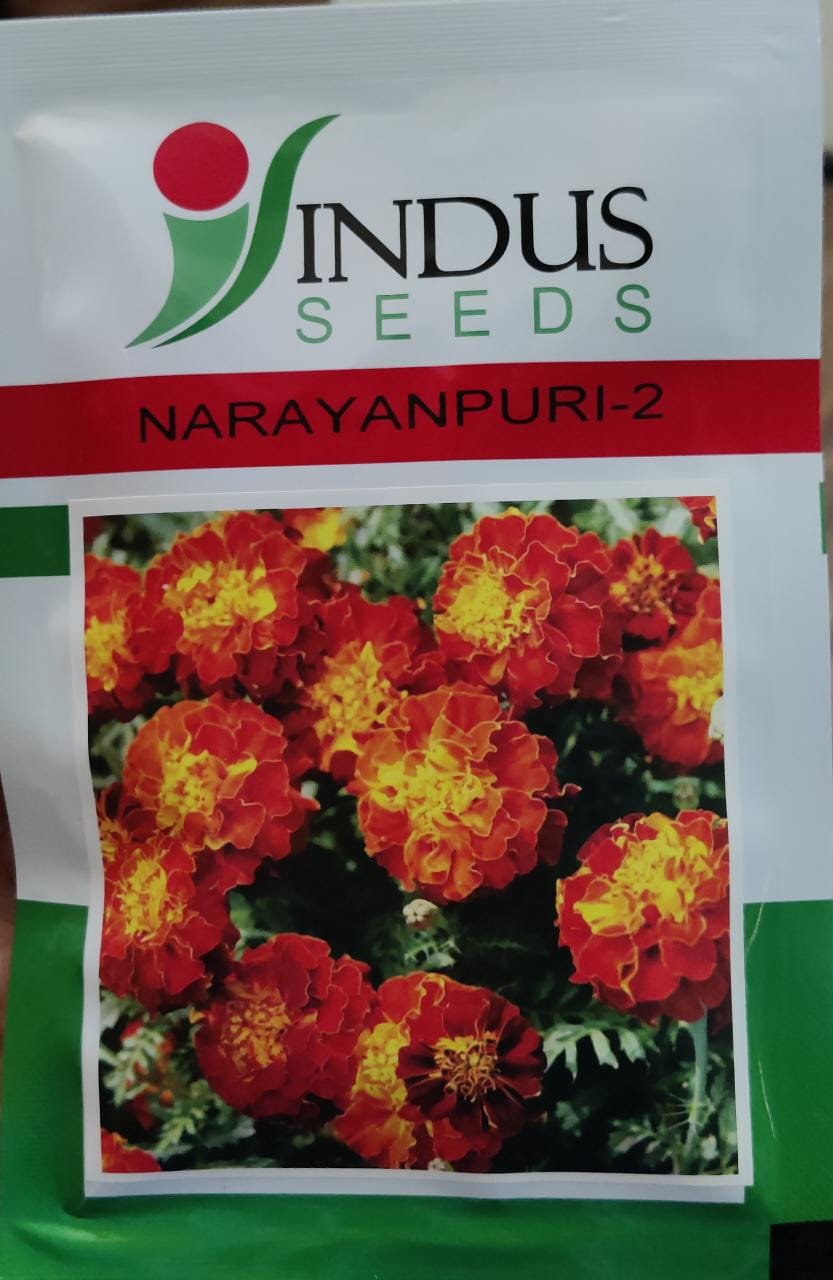 Marigold Narayanpuri 2 (Indus Seeds - 10 gm)