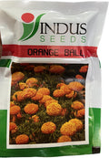 Marigold Orange Ball (Indus Seeds - 1000 Seeds)