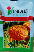 Marigold Orbit (Indus Seeds - 1000 Seeds)