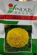 Marigold Tennis Ball Plus (Indus Seeds - 1000 Seeds)