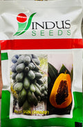 Papaya Red Sun Dwarf (Indus Seeds - 10 gm)