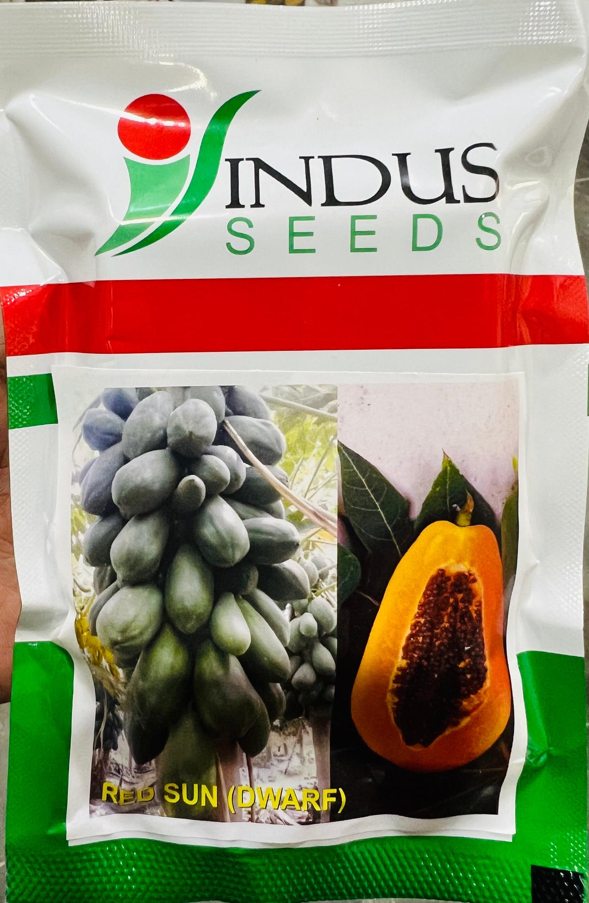 Papaya Red Sun Dwarf (Indus Seeds - 10 gm)