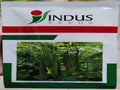Ridge Gourd Kirti (Indus Seeds - 50 gm)