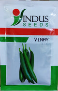 Sponge Gourd Vinay (Indus Seeds - 50 gm)
