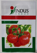 Tomato Indus 1718 (Indus Seeds - 10 gm)