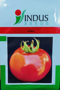 Tomato Jewel (Indus Seeds - 10 gm)