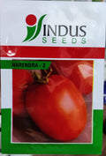 Tomato Narendra 2 (Indus Seeds - 10 gm)