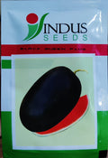 Watermelon Black Queen Plus (Indus Seeds - 1000 Seeds)