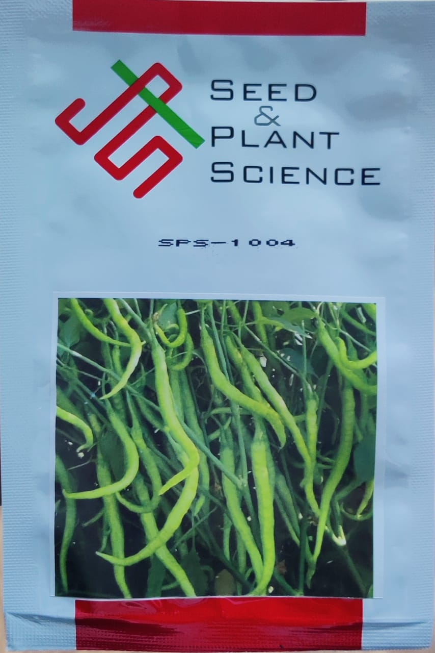 Chilli SPS 1004 (SPS - 10 gm)