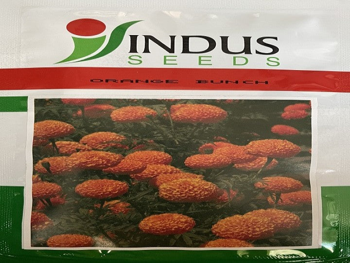 Marigold Orange Bunch (Indus Seeds - 10 gm)