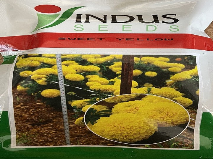 Marigold Sweet Yellow (Indus seeds - 100 seeds)