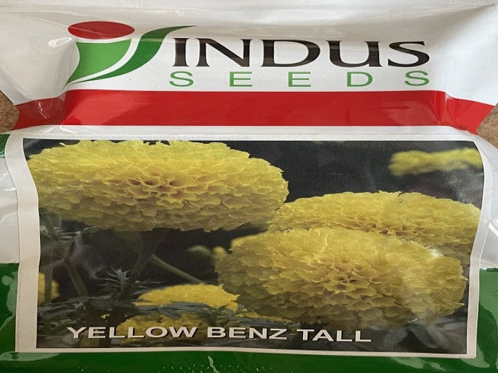 Marigold Yellow Benz Tall (Indus Seeds - 1000 seeds)