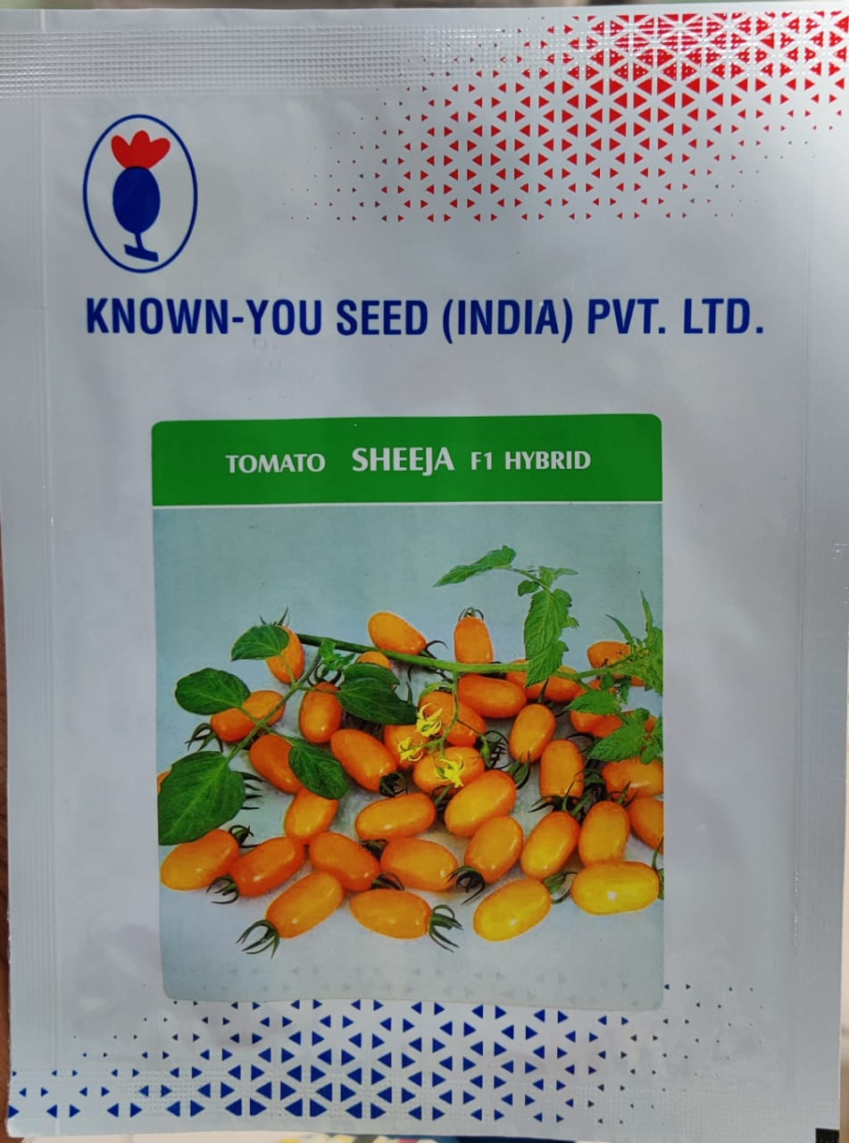 Tomato Sheeja (Known You Seed - 1 gm)
