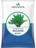 Palak Mulayam ( Advanta Golden Seeds) - 500 gm (Advanta Golden Seeds - 500 gm)