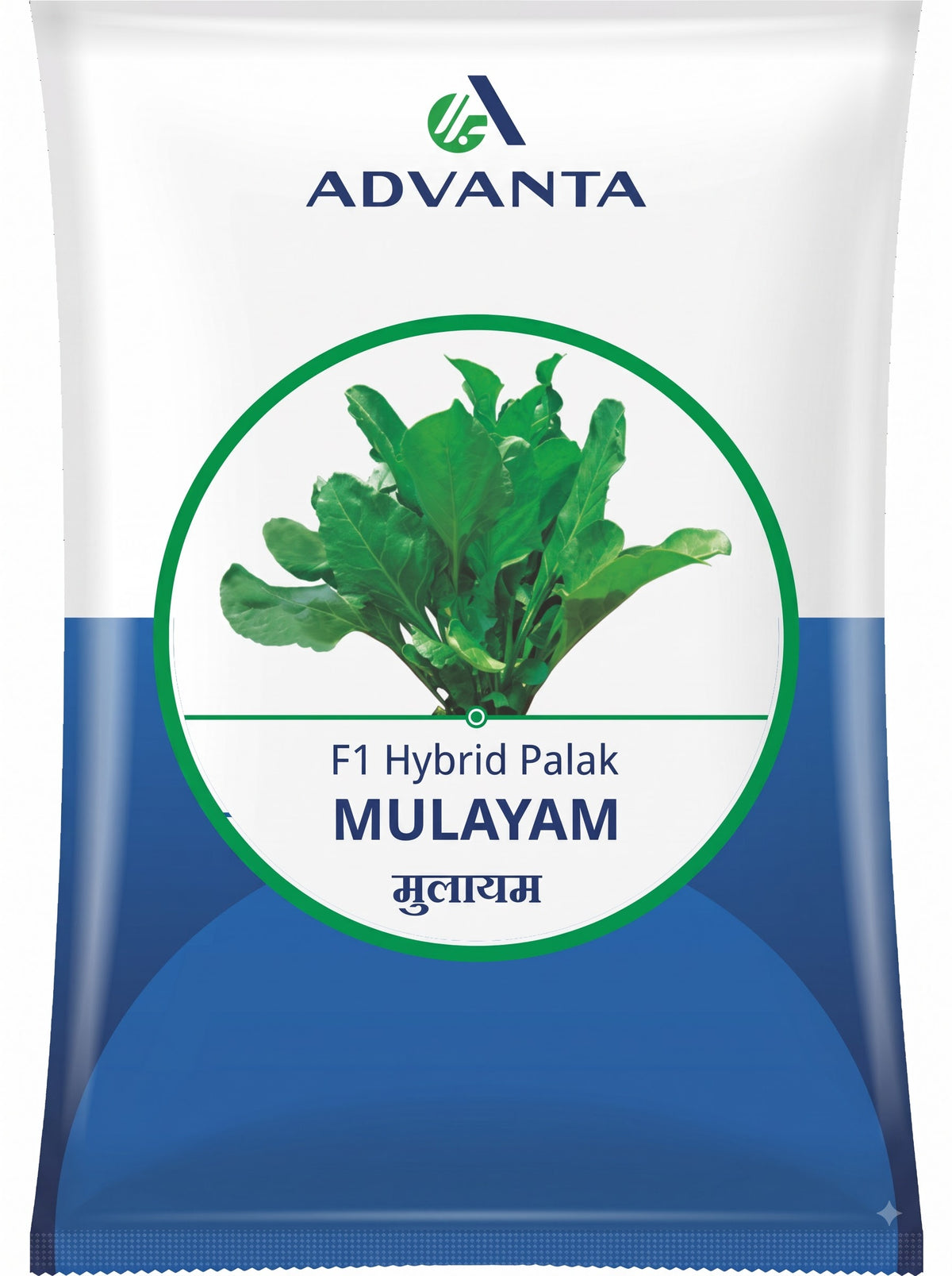 Palak Mulayam ( Advanta Golden Seeds) - 500 gm (Advanta Golden Seeds - 500 gm)