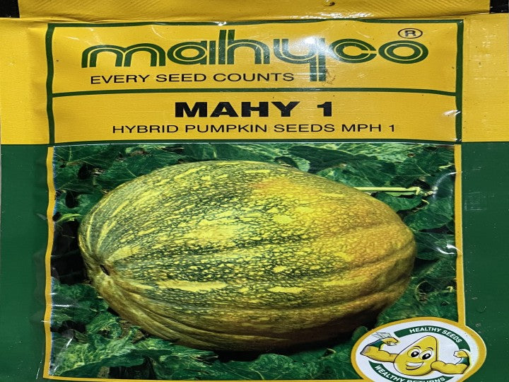 Pumpkin Mahy 1 MPH 1 (Mahyco Seeds - 50 gm)