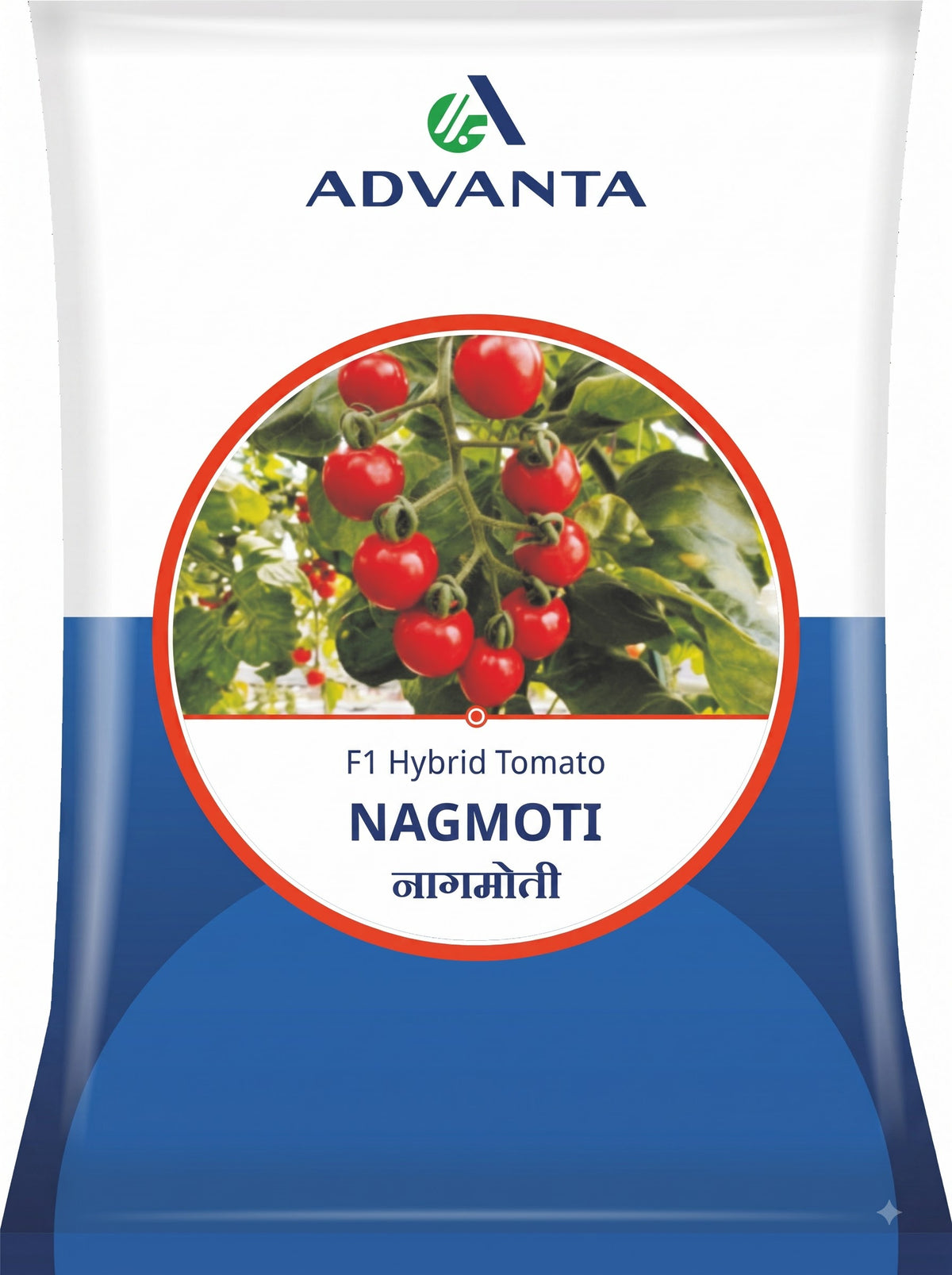 Tomato Nagmoti (Advanta Golden Seeds - 10 gm)
