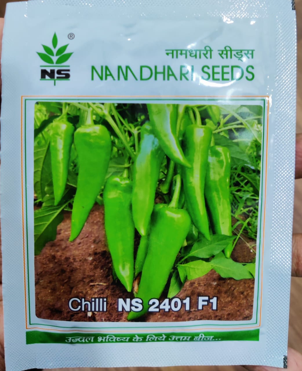 Chilli NS 2401 (Namdhari Seeds - 10 gm)