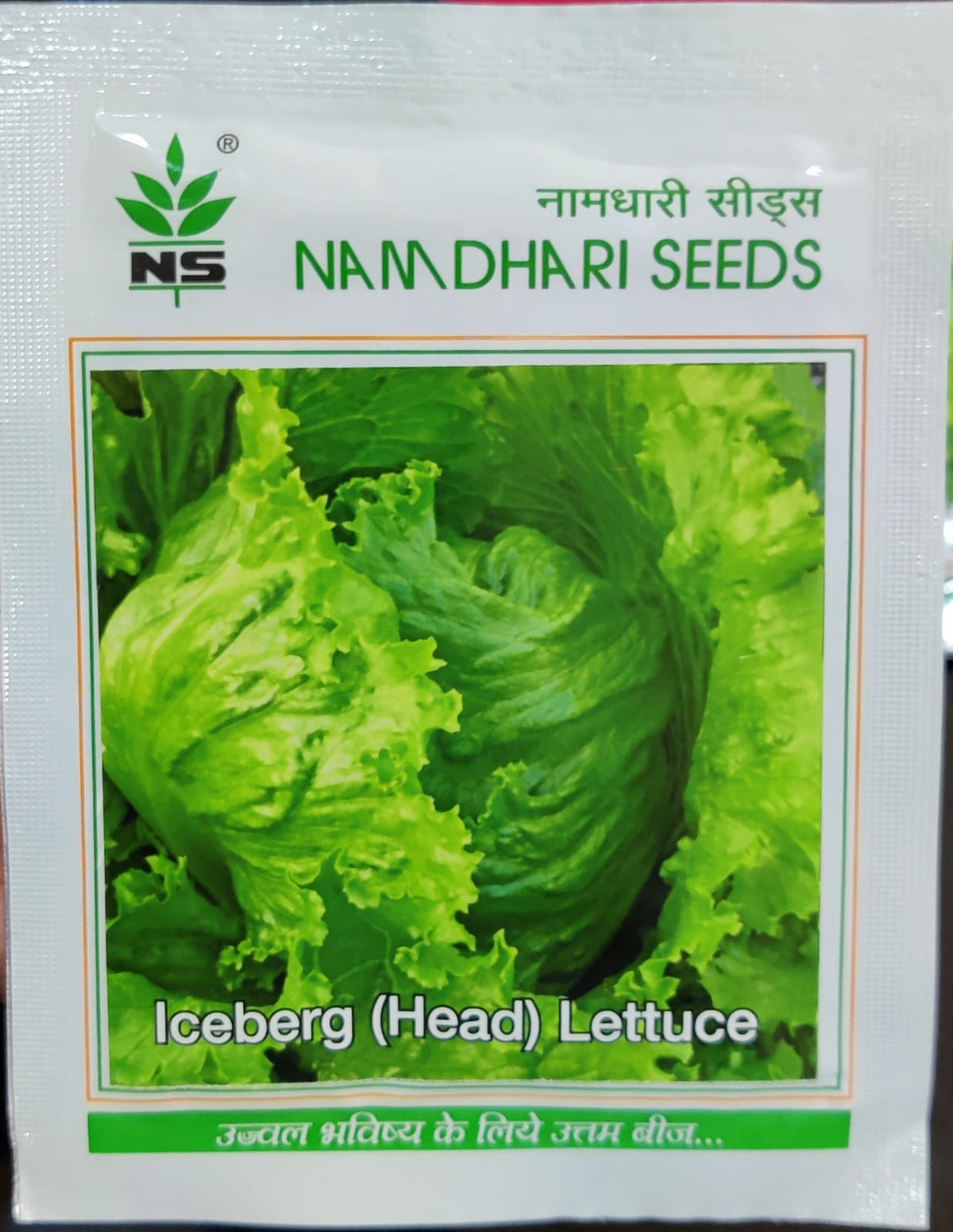 Iceberg Lettuce NS 10404 (Namdhari Seeds - 10 gm)