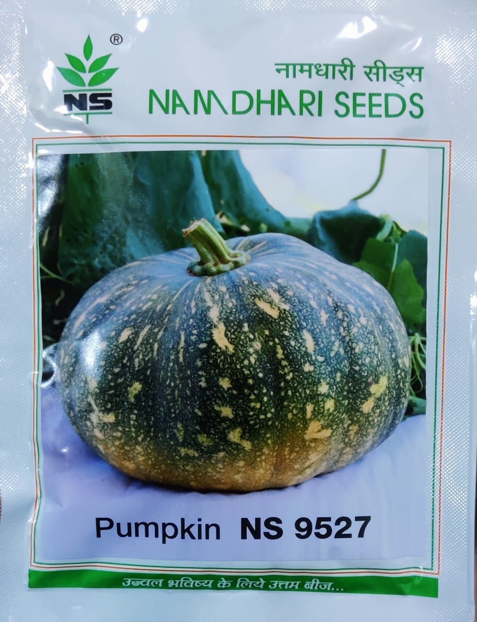 Pumpkin NS 9527 (Namdhari Seeds - 50 gm)