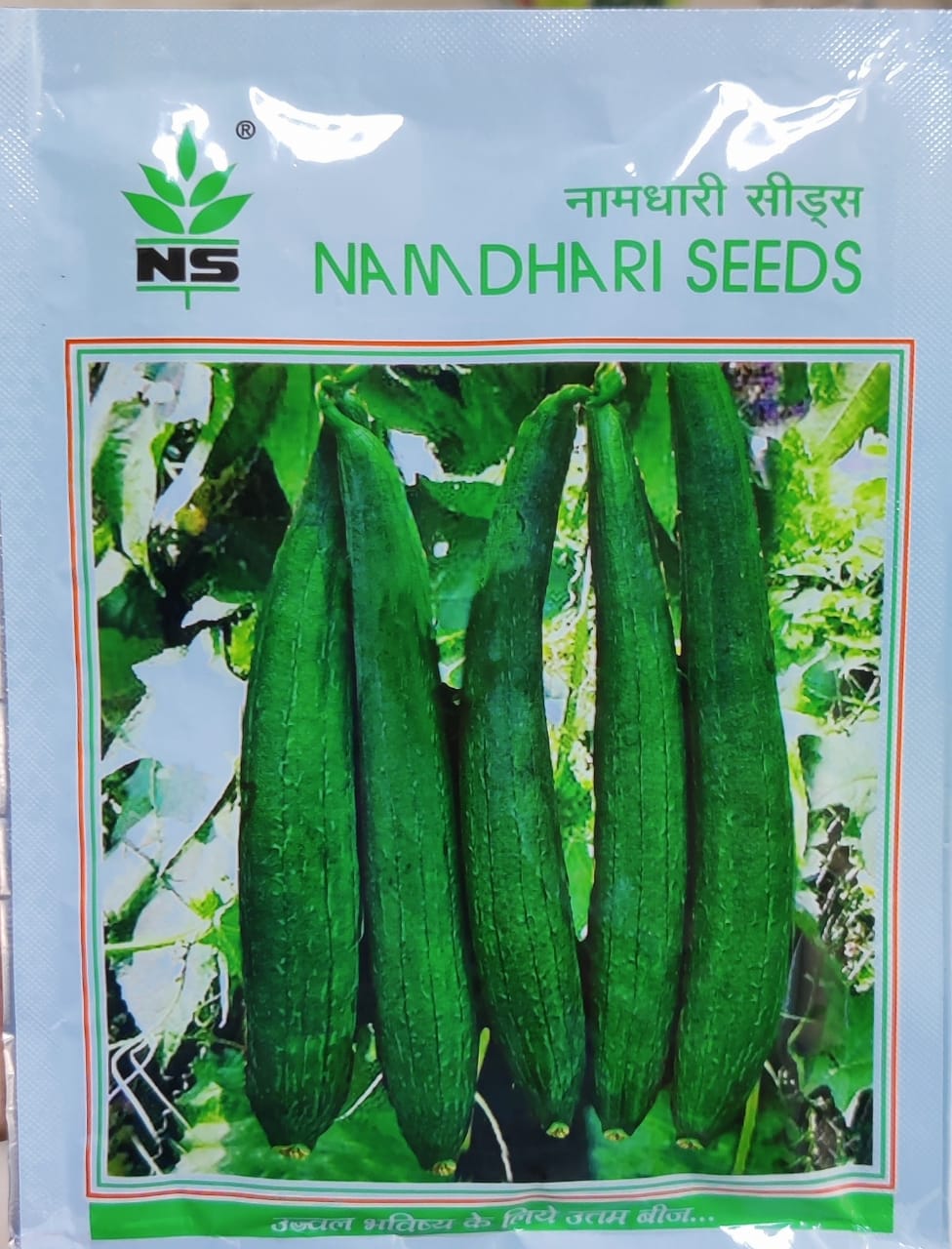 Sponge Gourd NS 441 (Namdhari Seeds - 50 gm)