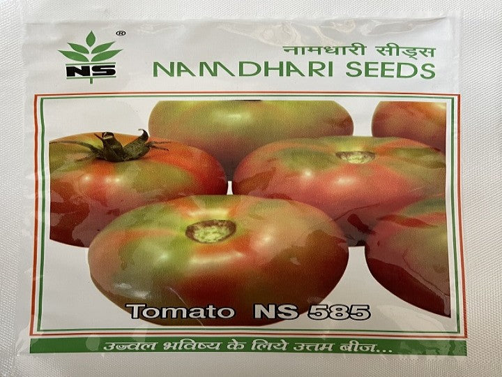 Tomato NS 585 (Namdhari Seeds - 3000 seeds)
