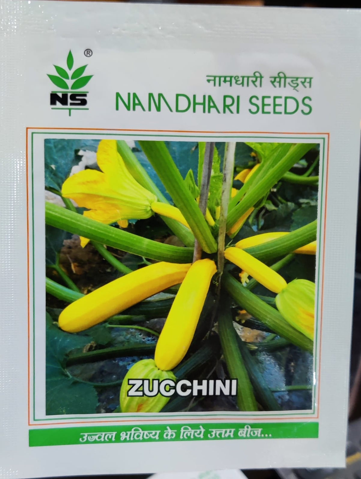 Zucchini NS 9881 (Namdhari Seeds)