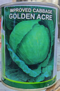 Improved Cabbage Golden Acre (Nufield Genetics - 100 gm (Tin))