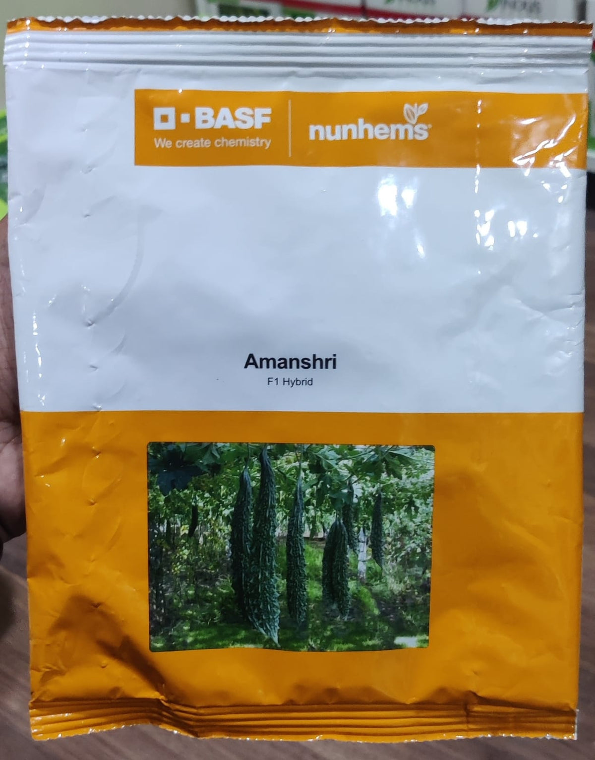 Bitter Gourd Amanshri (Nunhems Seeds - 500 Seeds)