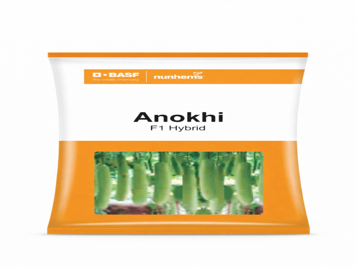 Bottle Gourd Hybrid Anokhi (Nunhems Seeds - 250 Seeds)