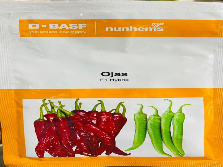 Chilli Ojas (Nunhems Seeds - 1500 seeds)