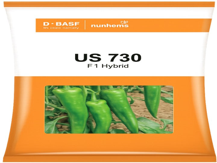 Chilli US 730 (Nunhems Seeds - 1500 seeds)