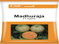 Muskmelon Madhuraja Hybrid (Numhems Seeds - 1000 Seeds)