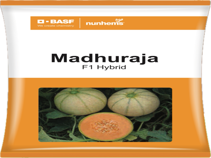 Muskmelon Madhuraja Hybrid (Numhems Seeds - 1000 Seeds)