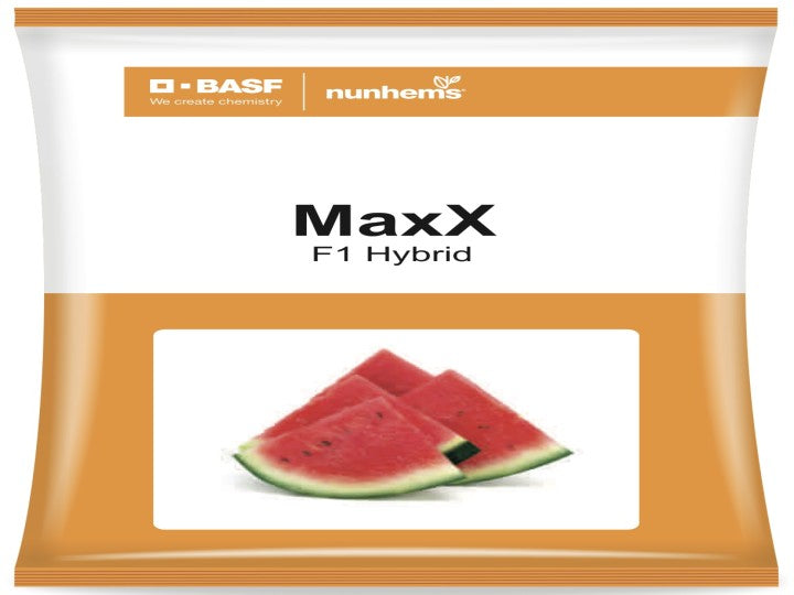 Watermelon Hybrid Maxx (Nunhems Seeds - 1000 Seeds)