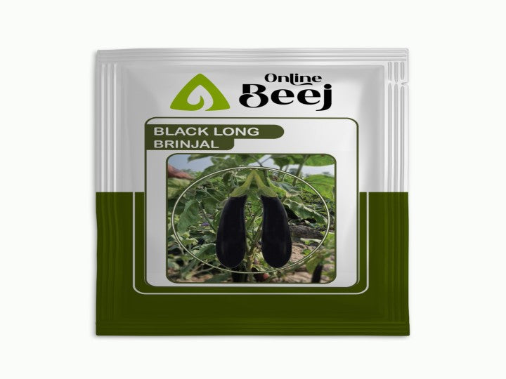 Brinjal Black Long (Online Beej - 10 gm)