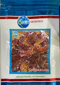Lettuce Purple Lace (Orbi Genetics - 10 gm)