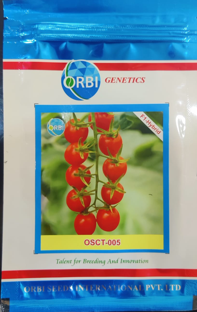 Tomato Cherry Red (Orbi Genetics - 100 Seeds)