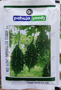 BItter Gourd Chota Don (Pahuja Seeds - 50 gm)