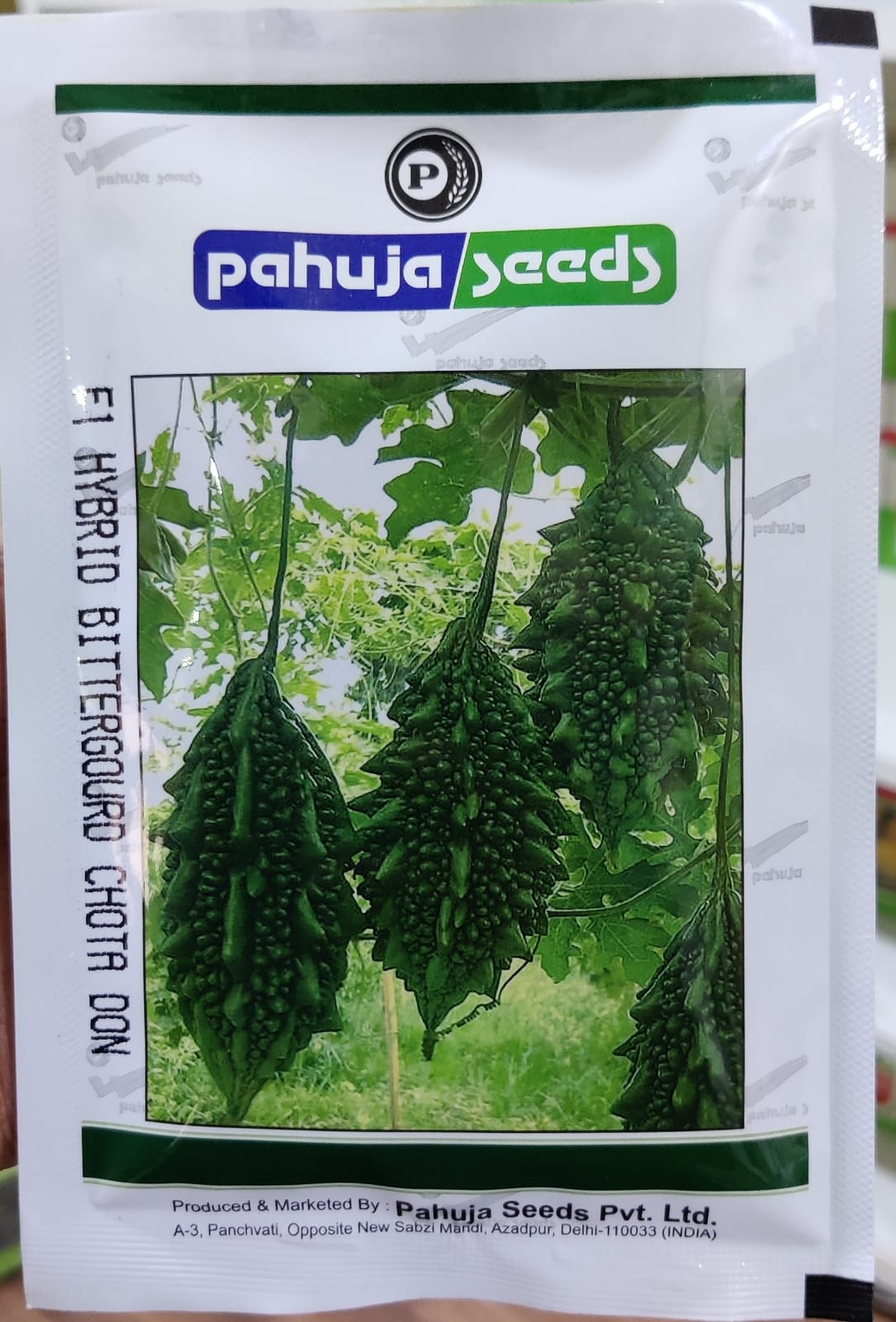 BItter Gourd Chota Don (Pahuja Seeds - 50 gm)