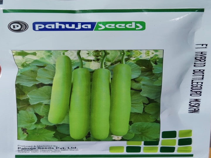 Bottle Gourd Muskan (Pahuja Seeds - 50 gm)