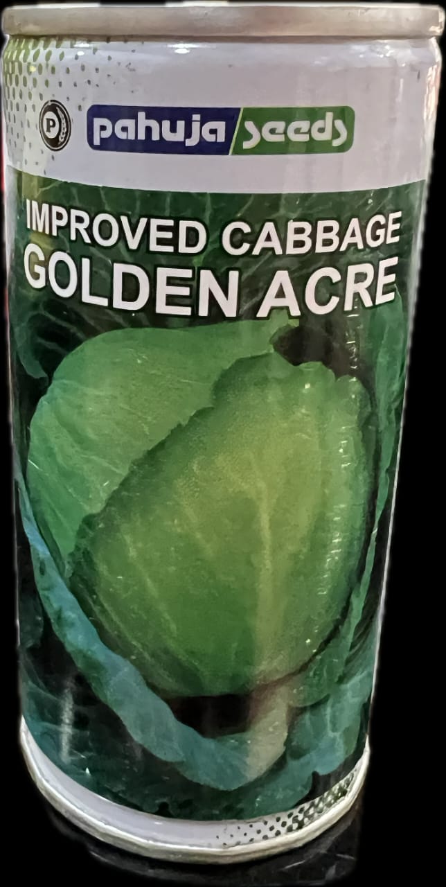 Cabbage Improved Golden Acre (Pahuja Seeds - 100 gm(Tin))
