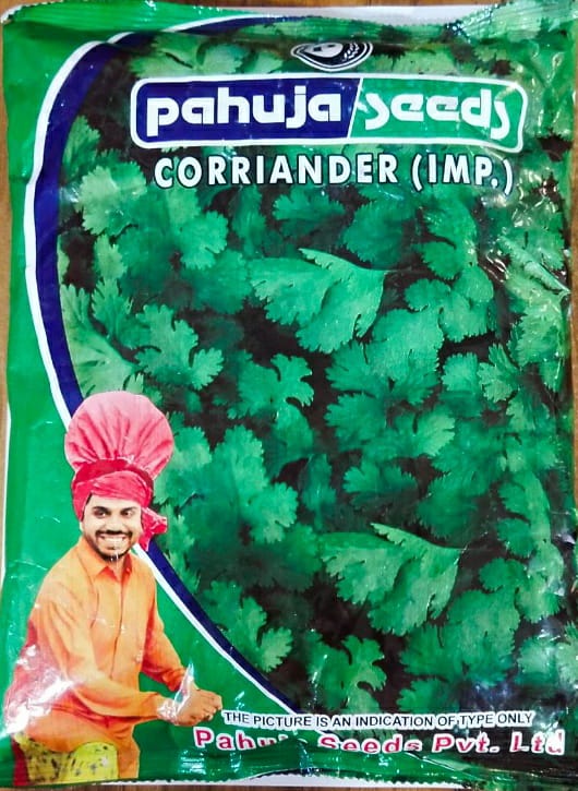 Coriander LS 800 (Pahuja Seeds - 500 gm)