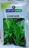 Fodder Kasni Sachin (Pahuja Seeds - 100 gm)