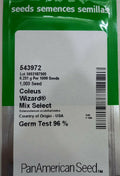 Coleus Wizard Mix Select (PanAmerican Seed - 1000 Seeds)