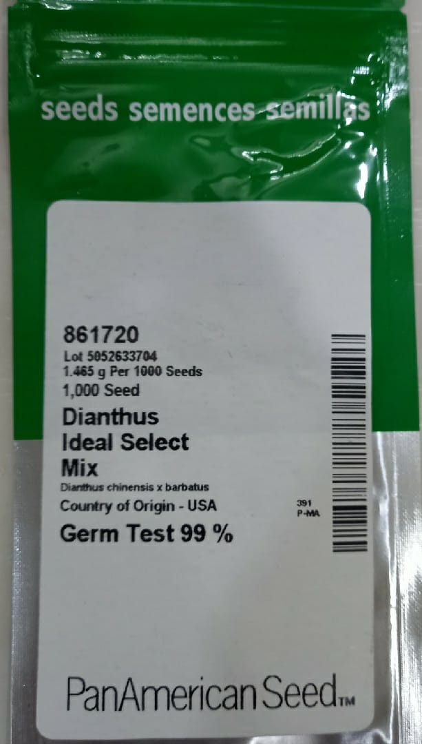 Dianthus Ideal Select Mix (PanAmerican Seed - 1000 Seeds)