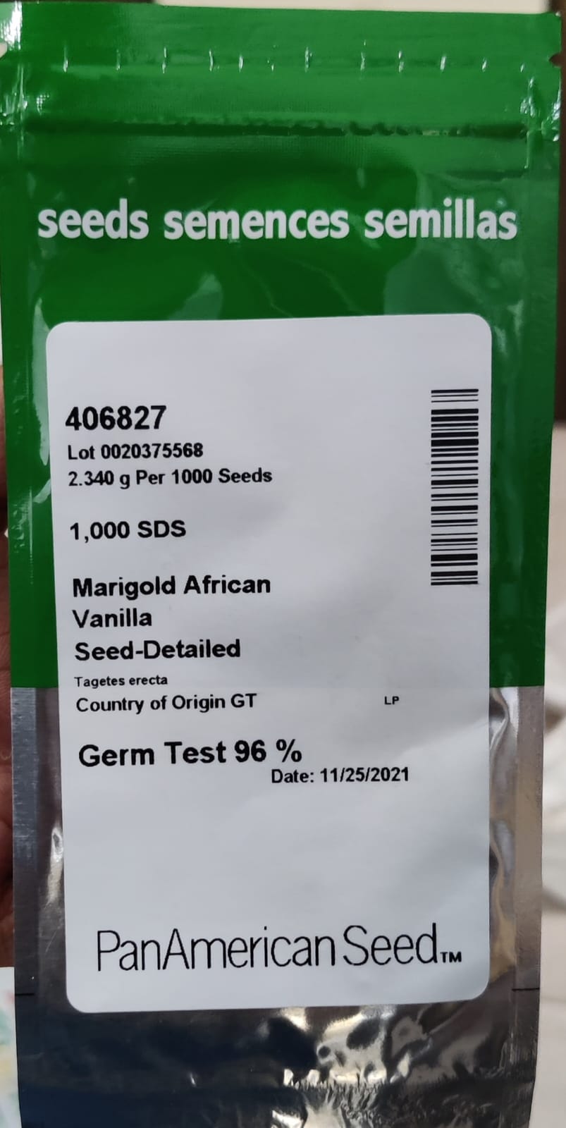 Marigold African Vanilla (PanAmeican Seed - 1000 Seeds)