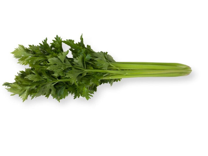 Celery Kylian (Rijk zwaan) - 1000 Seeds (RIJK ZWAAN - 1000 Seeds)