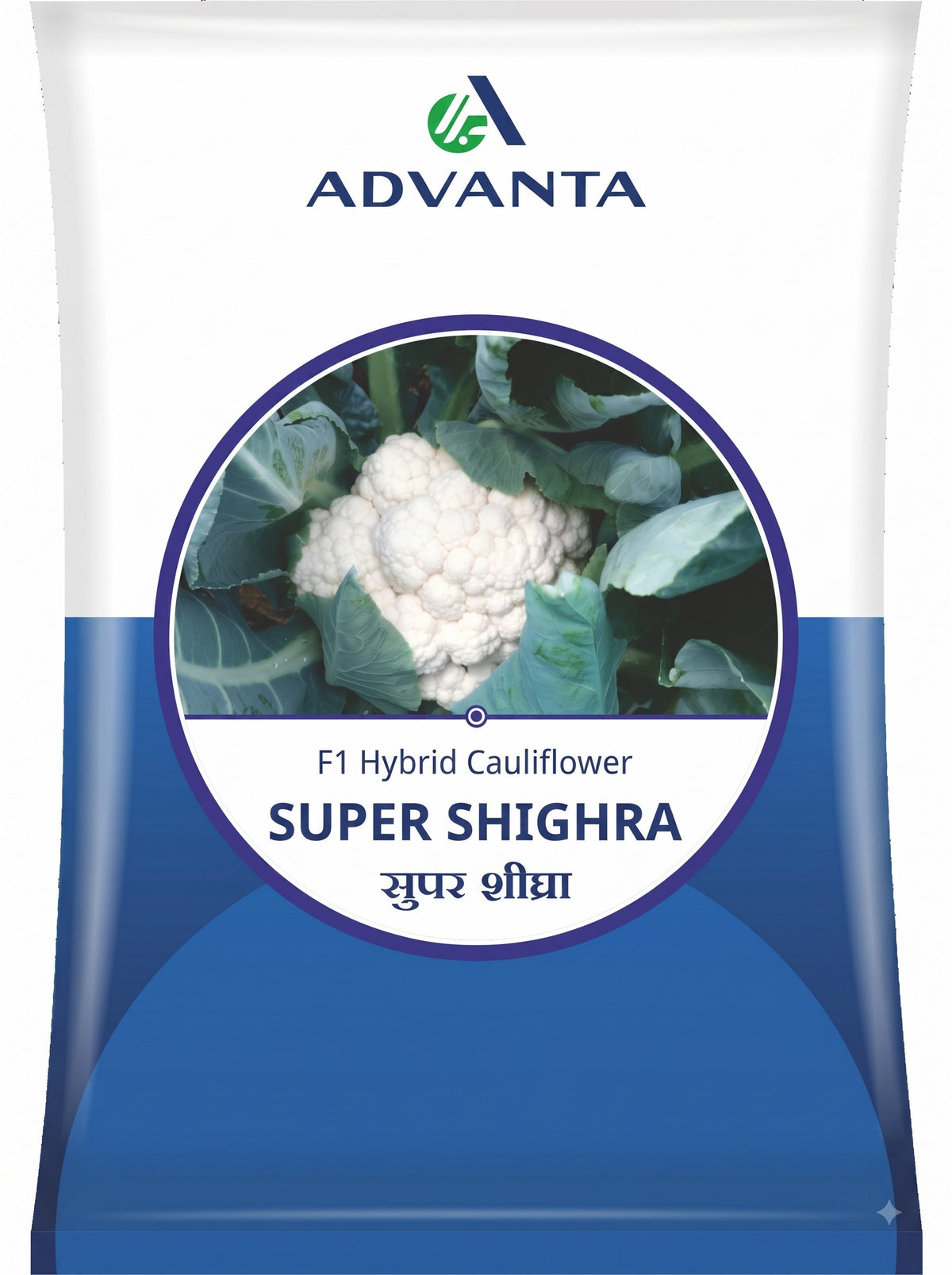 Cauliflower Super Shigra (Advanta Golden Seeds - 10 gm)